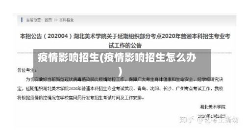 疫情影响招生(疫情影响招生怎么办)-第3张图片