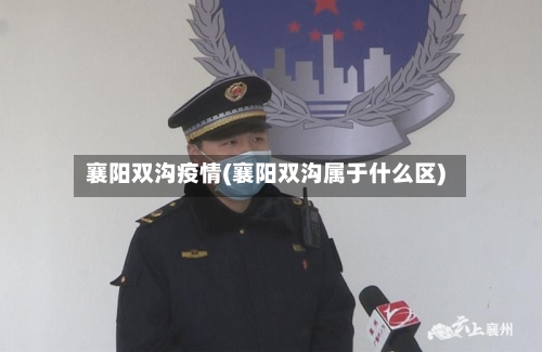 襄阳双沟疫情(襄阳双沟属于什么区)-第2张图片