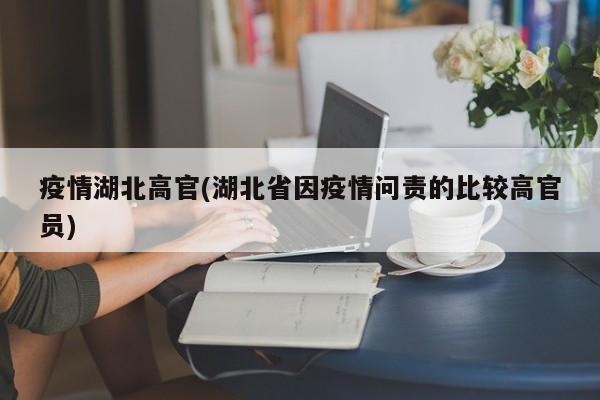 疫情湖北高官(湖北省因疫情问责的比较高官员)